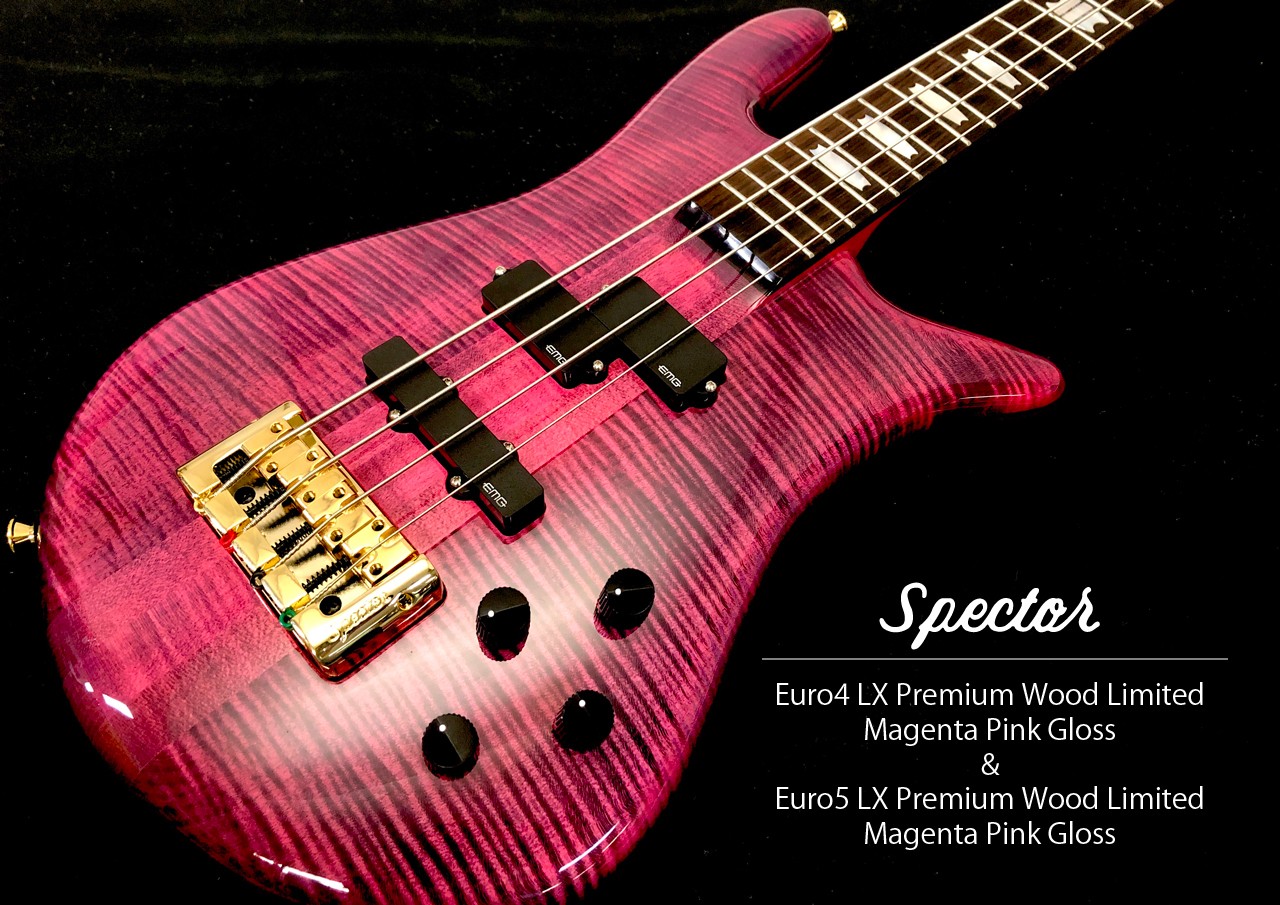 ベース ESP WS320 廃盤モデル 日本限定 - ベース