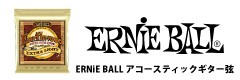 ERNiE BALLアコースティックギター弦