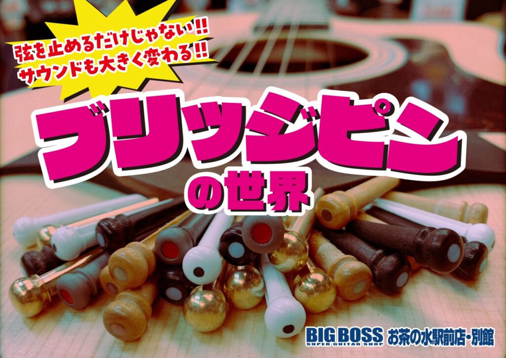 見た目だけでなくサウンドも変わる！！アコギブリッジピンの世界