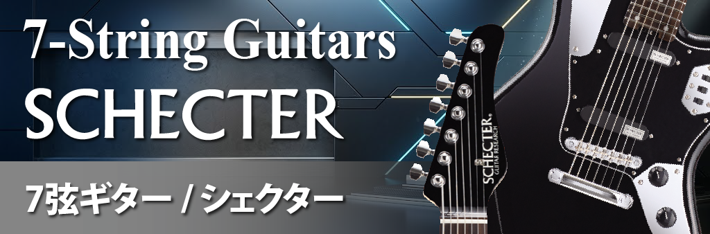 7弦ギター / シェクター