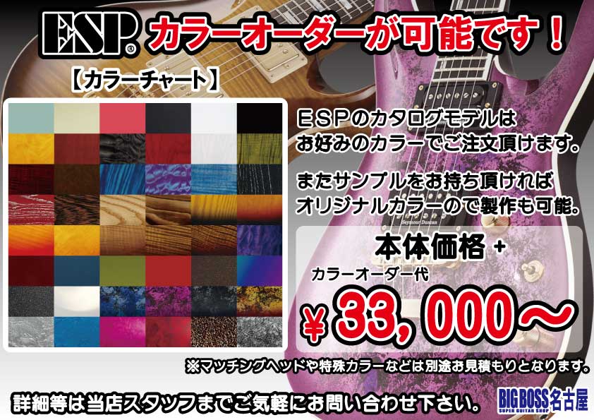 ESP&Navigator カラーオーダーについて