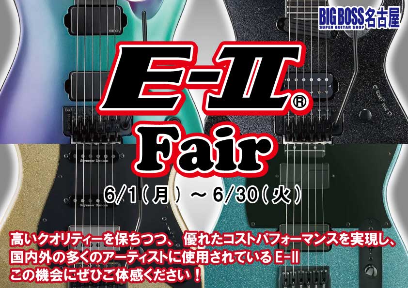 E-II FAIR