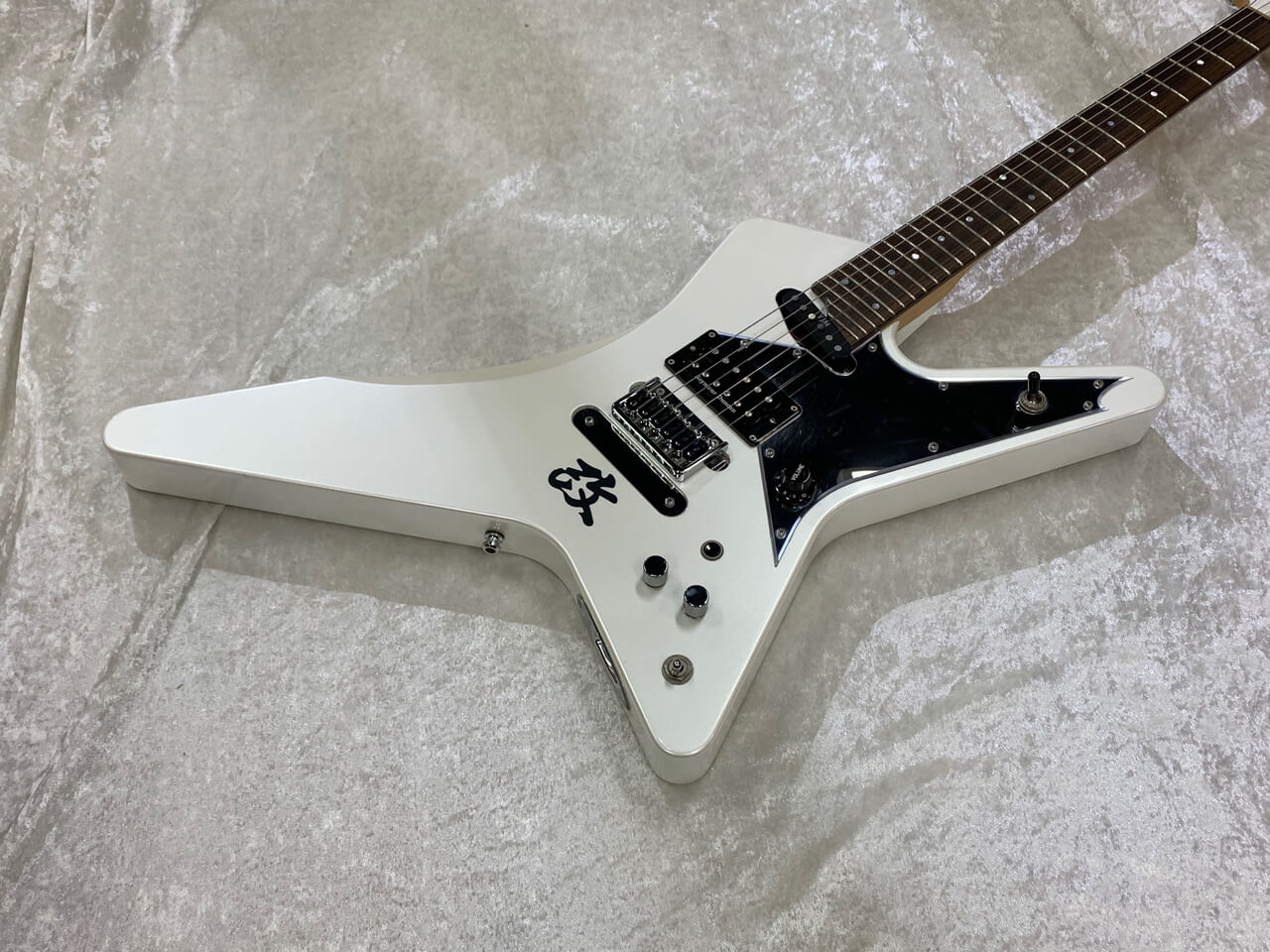 ORDER MADE GUITAR