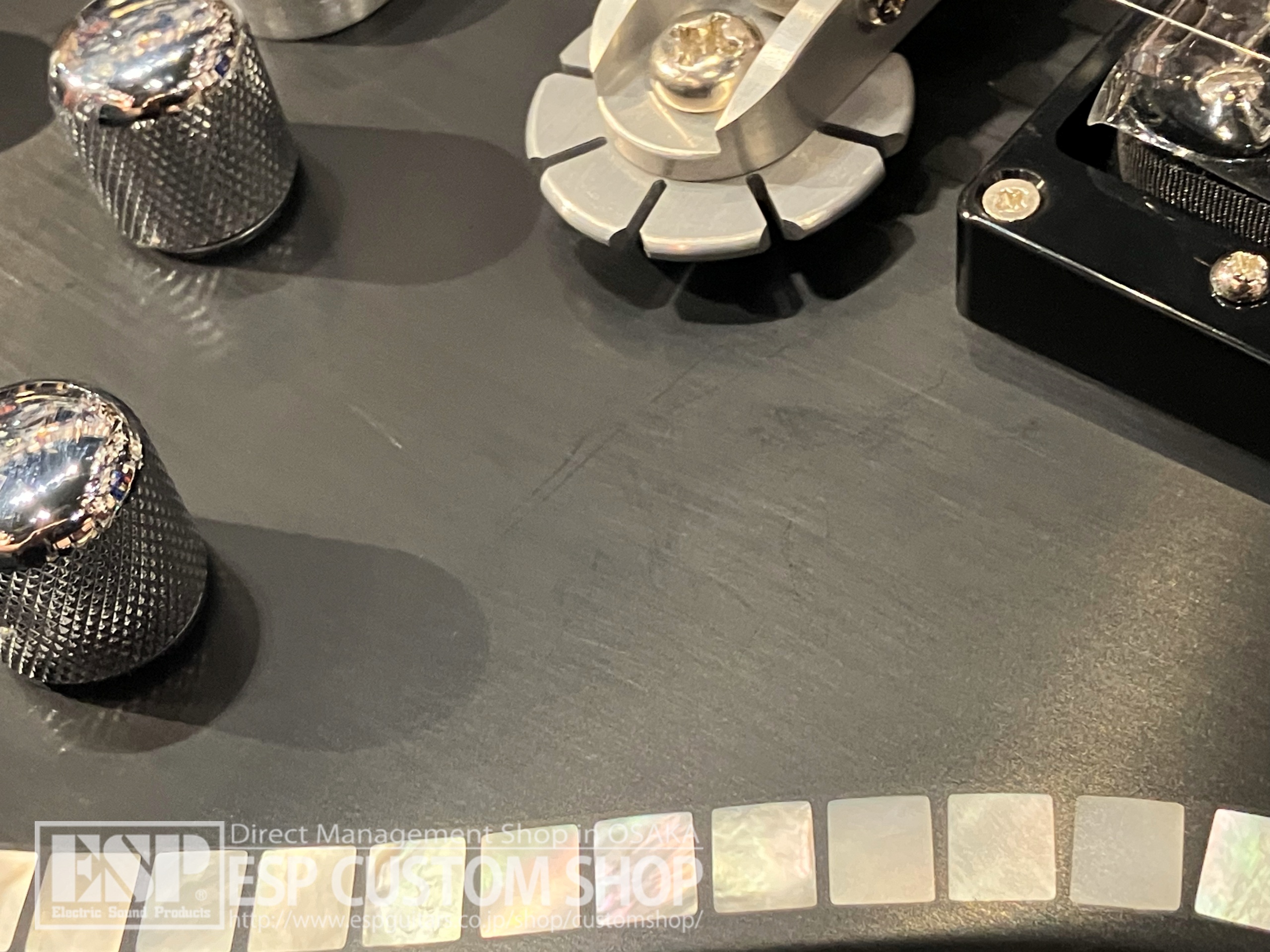 【即納可能/アウトレット】ZEMAITIS (ゼマイティス) IFG-AC-24  大阪店【新春初売りお年玉セール対象商品】