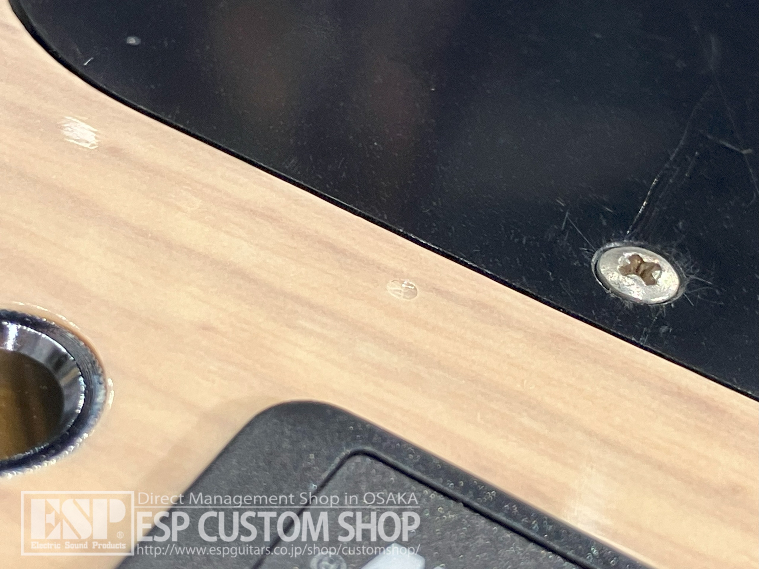 【即納可能】LAKLAND(レイクランド) SL44-94 Deluxe Bubinga (Rose FB) / Snow White Sunburst 大阪店 【新春初売りお年玉セール対象商品】