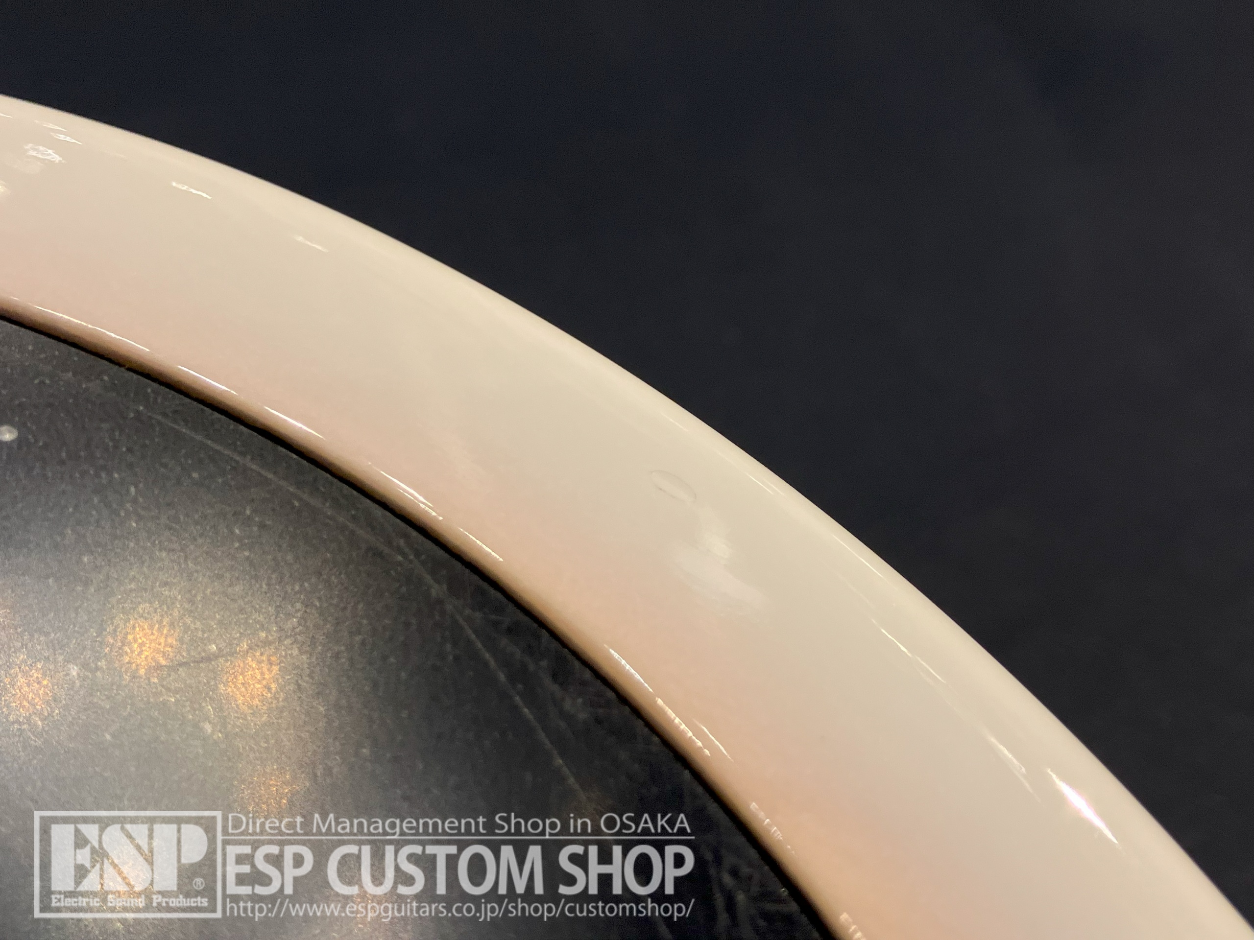 【即納可能】LAKLAND(レイクランド) SL44-94 Deluxe Bubinga (Rose FB) / Snow White Sunburst 大阪店 【新春初売りお年玉セール対象商品】