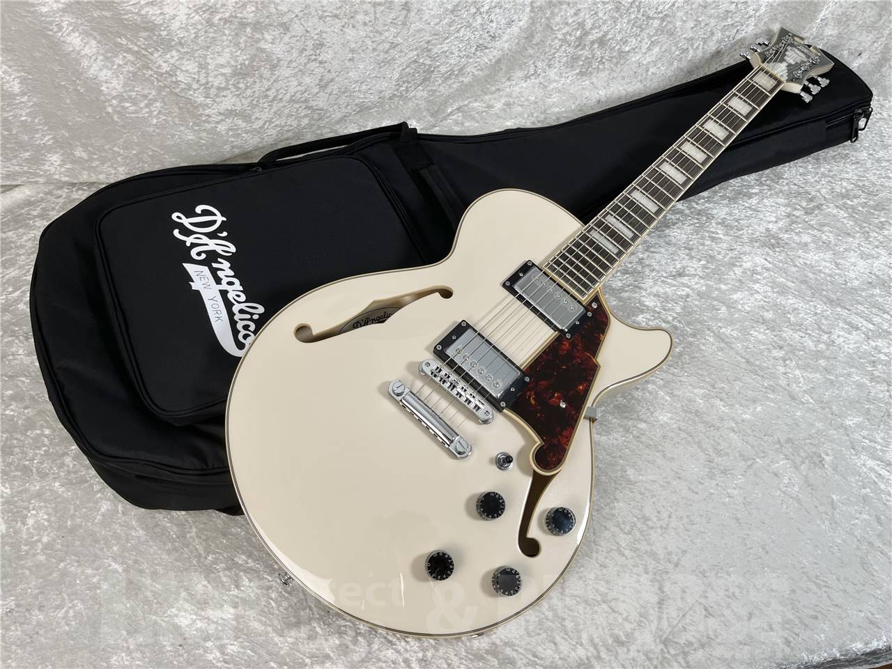 【即納可能】D'Angelico (ディアンジェリコ) Premier SS / Champagne (セミアコースティック) お茶の水駅前店・別館 【新春初売りお年玉セール対象商品】