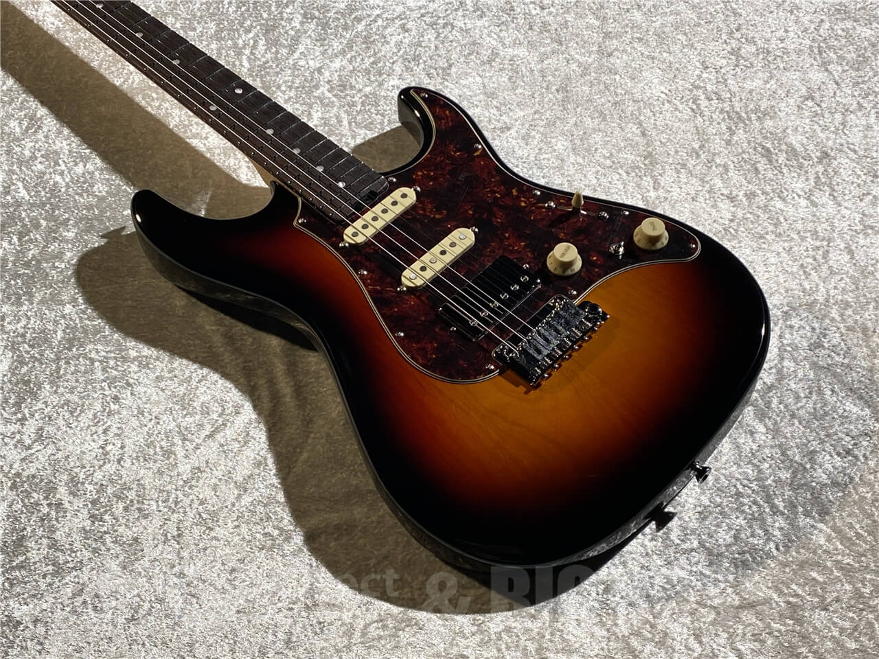【即納可能】EDWARDS(エドワーズ) E-SNAPPER-AL/R (3 Tone Sunburst) 札幌店