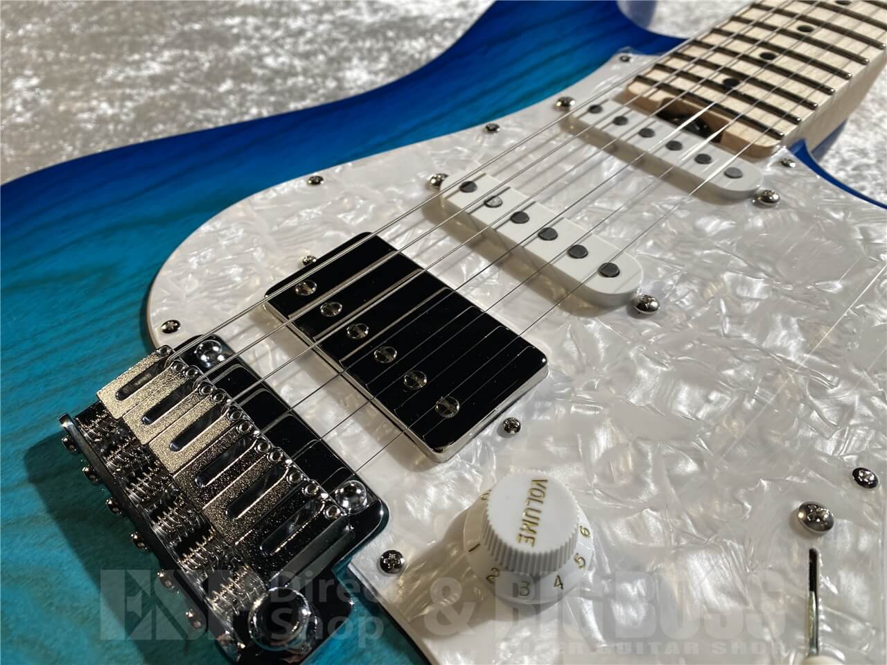 【即納可能】EDWARDS(エドワーズ) E-SNAPPER-AS/M (See Thru Blue Sunburst) 札幌店