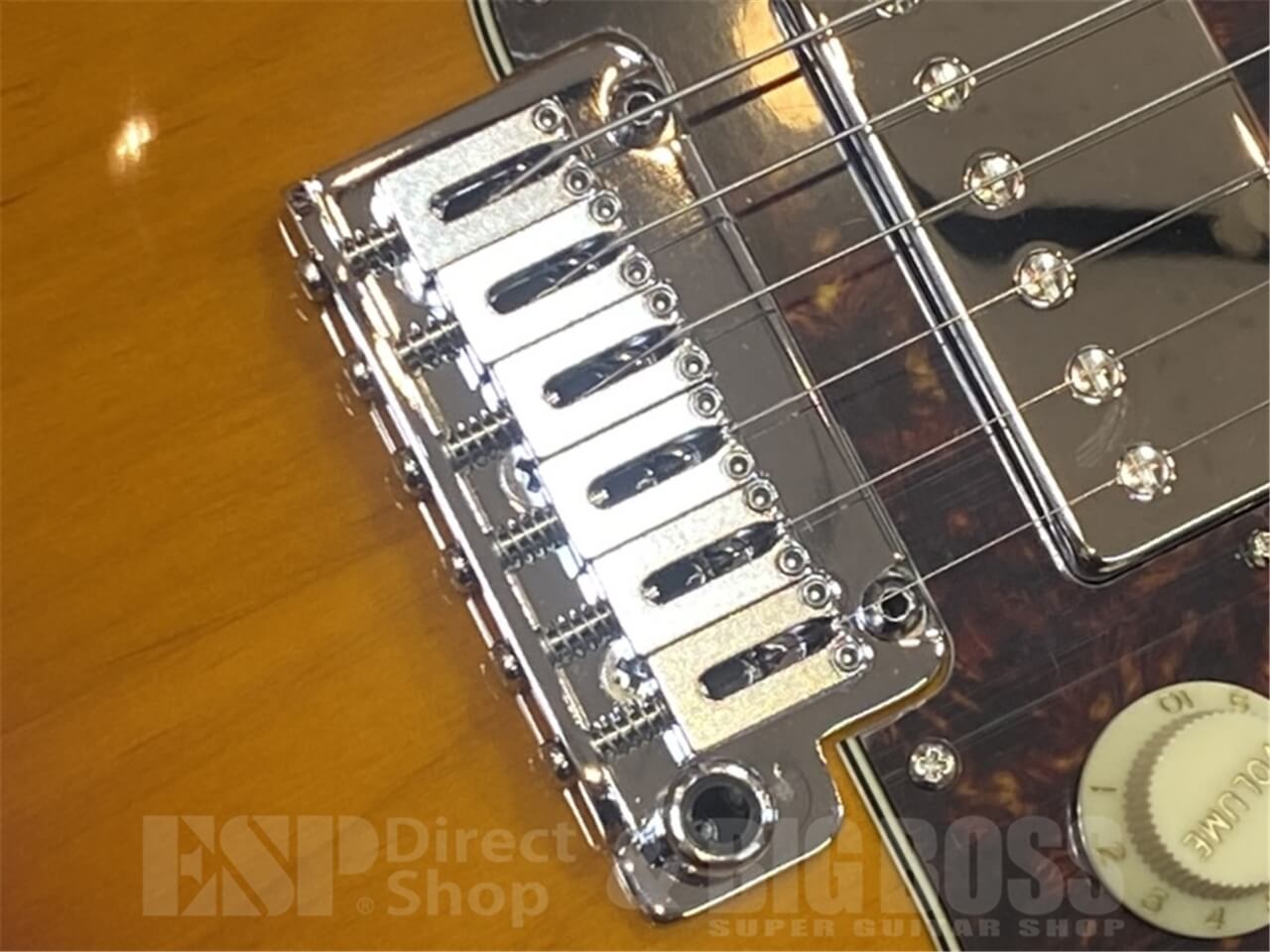 【即納可能】EDWARDS E-SNAPPER-AL/R/3 Tone Sunburst GWS