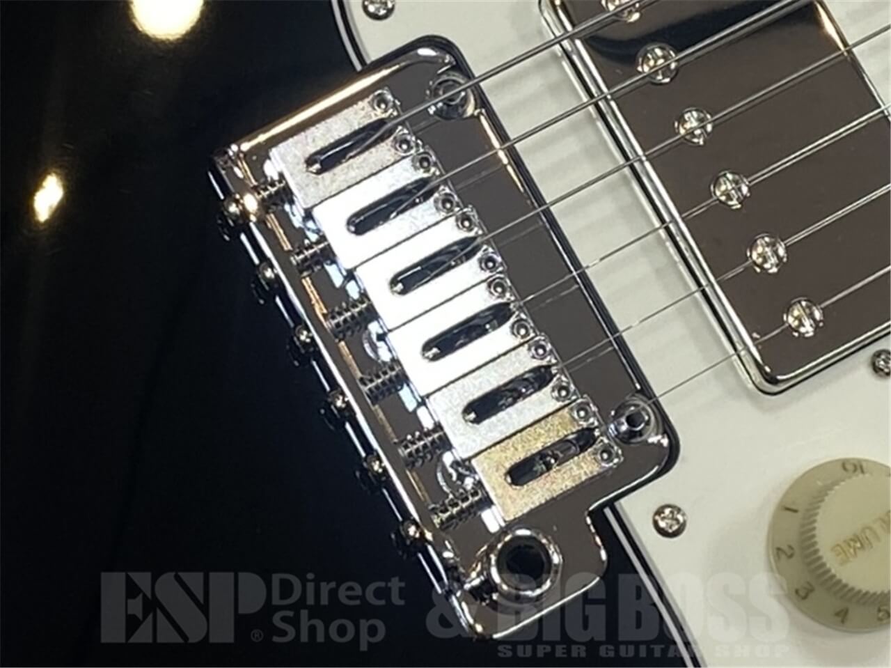 【即納可能】EDWARDS E-SNAPPER-AL/R/Black GWS