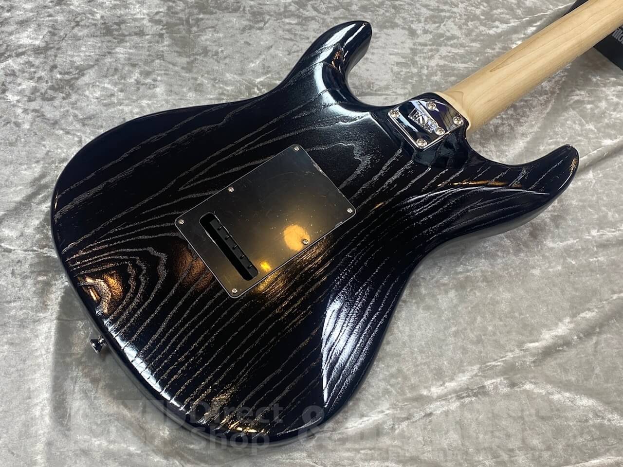 【即納可能】EDWARDS E-SNAPPER-AS/M /Solid Black GWS