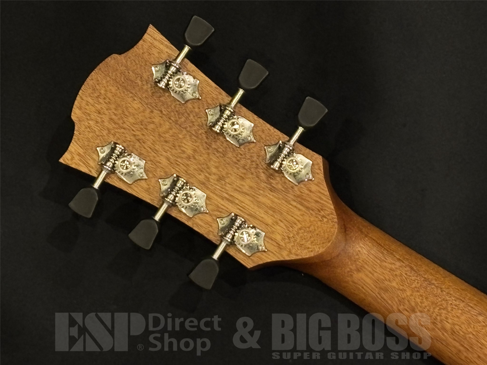 【即納可能】LAG Guitars (ラグギターズ) T70D / BLACK & BROWN 京都店