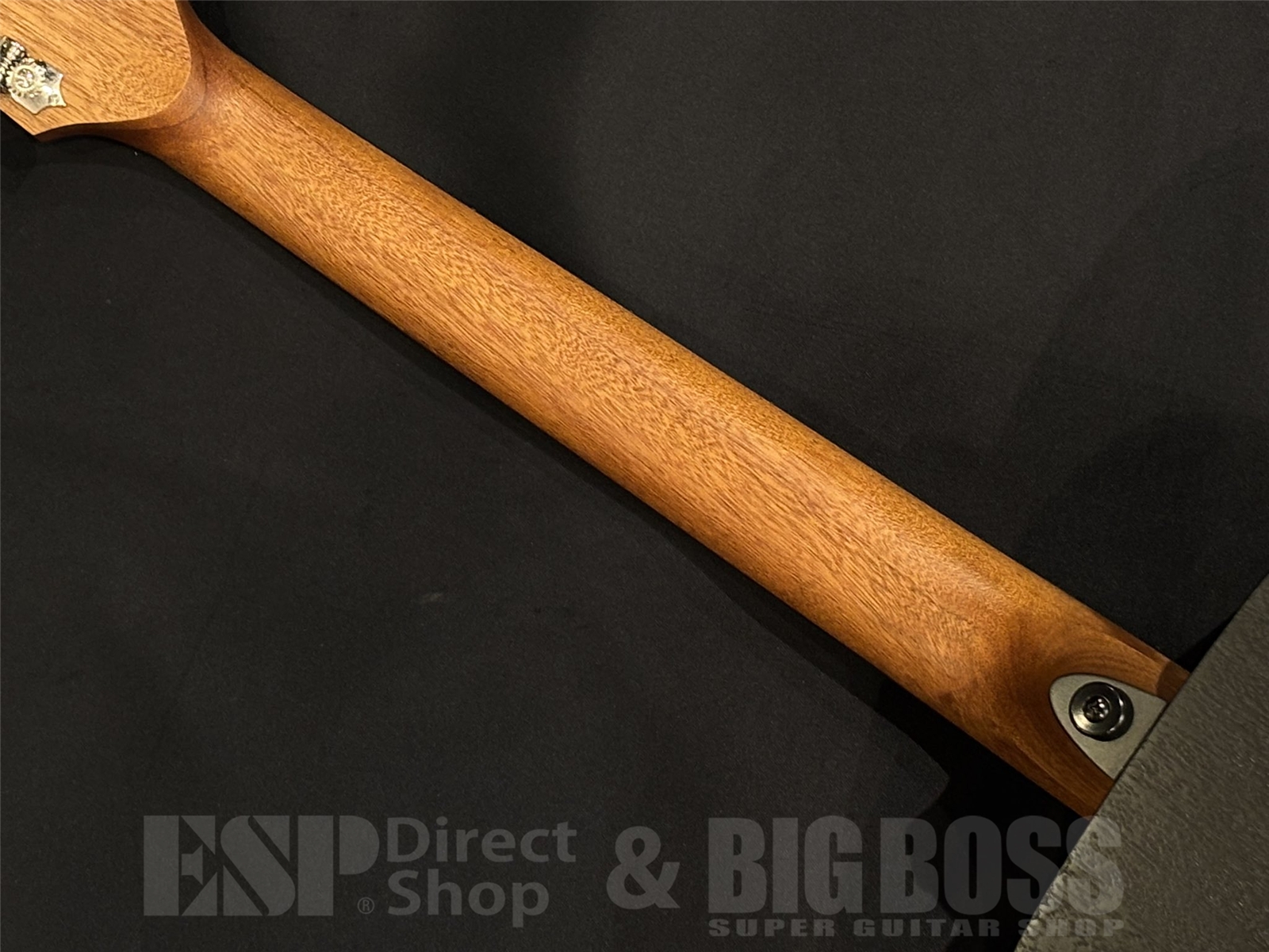 【即納可能】LAG Guitars (ラグギターズ) T70D / BLACK & BROWN 京都店