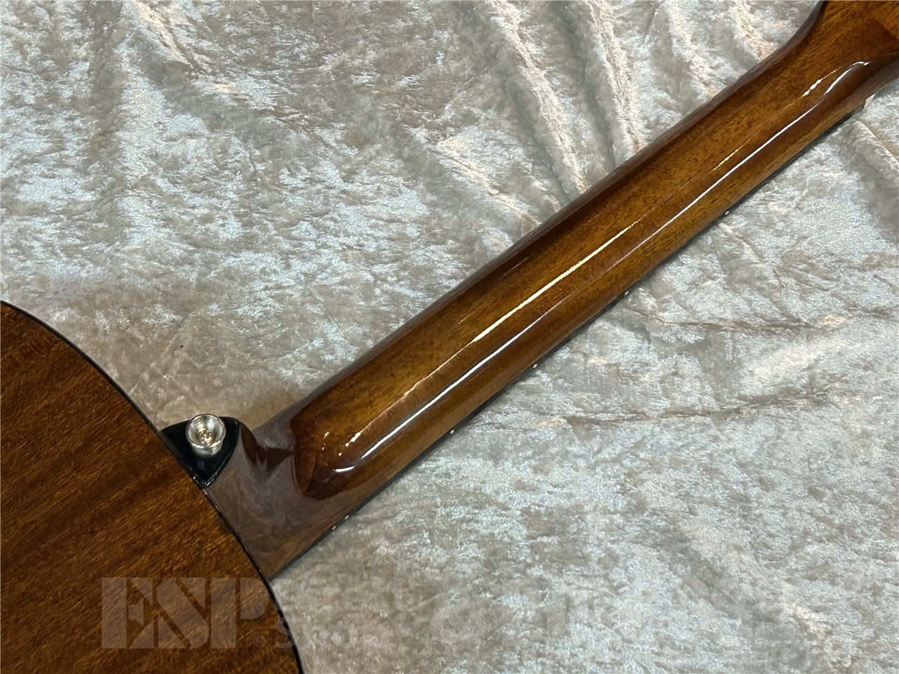 【即納可】Morris(モーリス) LA-011 (Cherry Sunburst) 広島店