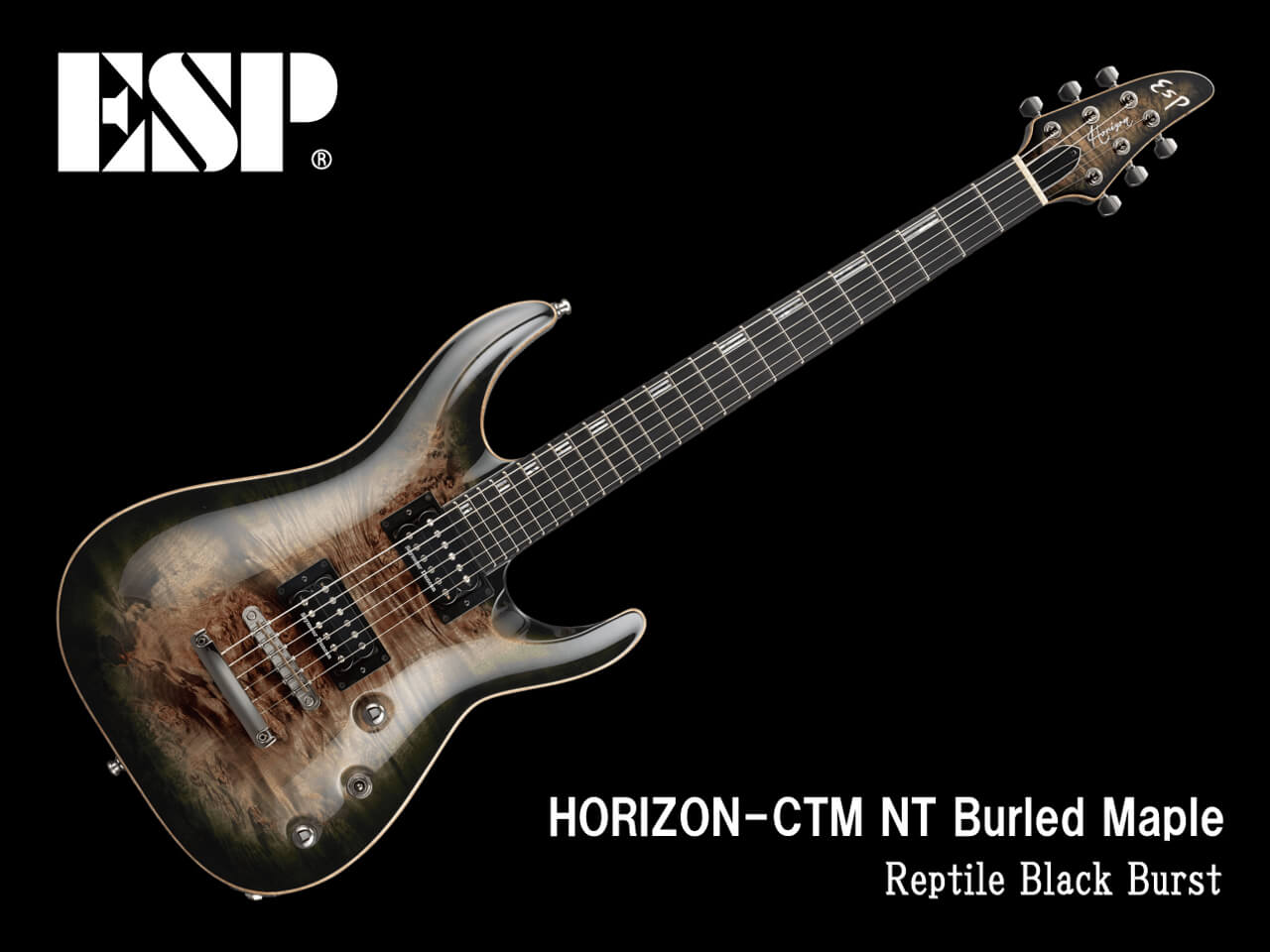 【受注生産】ESP(イーエスピー) HORIZON-CTM NT Burled Maple (Reptile Black Burst)
