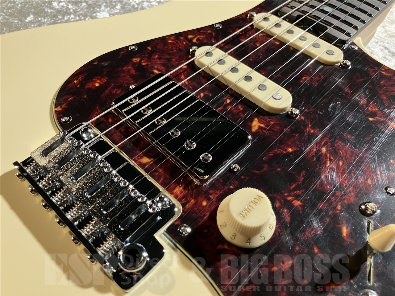 【即納可能】EDWARDS(エドワーズ) E-SNAPPER-AL/R (Off white) 札幌店