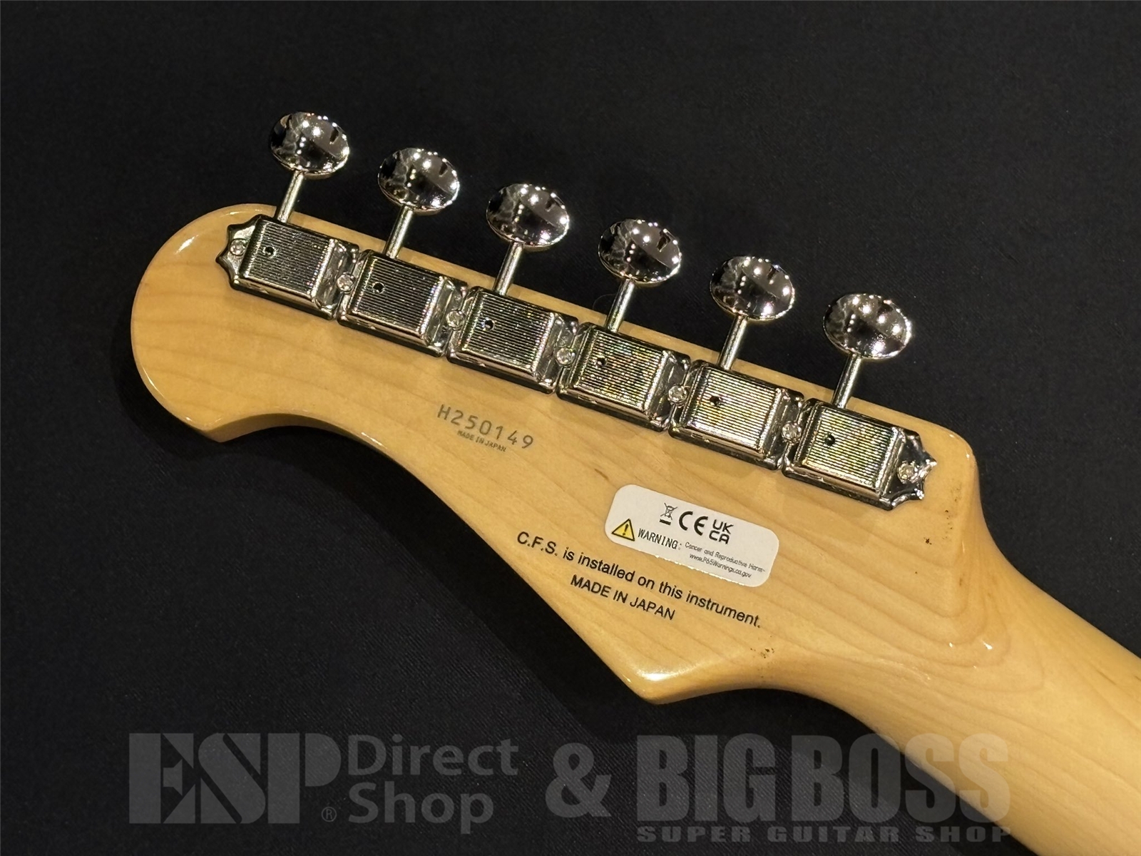 【即納可能】FUJIGEN (フジゲン) NTE100MAH / Vintage Natural 京都店