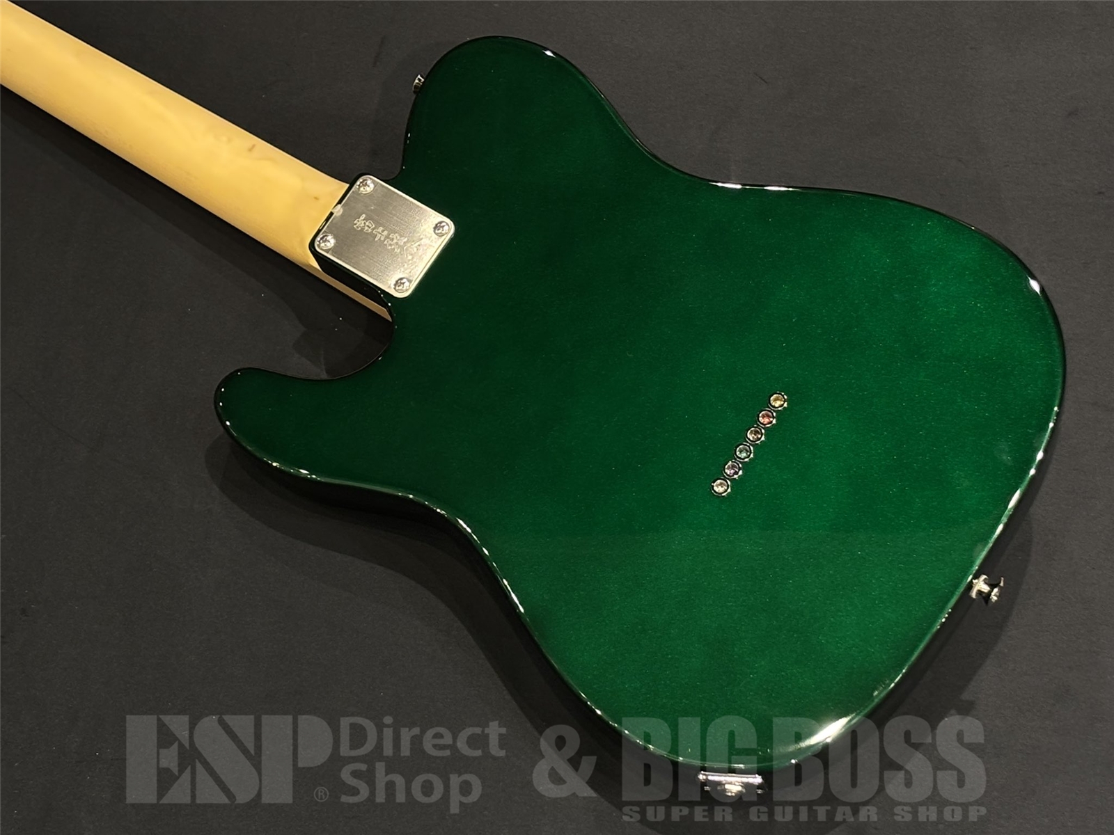 【即納可能】FUJIGEN (フジゲン) NTE100RAL / Candy Apple Green 京都店