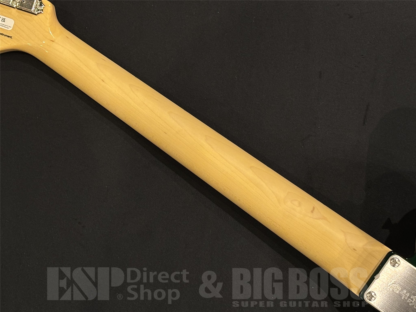 【即納可能】FUJIGEN (フジゲン) NTE100RAL / Candy Apple Green 京都店