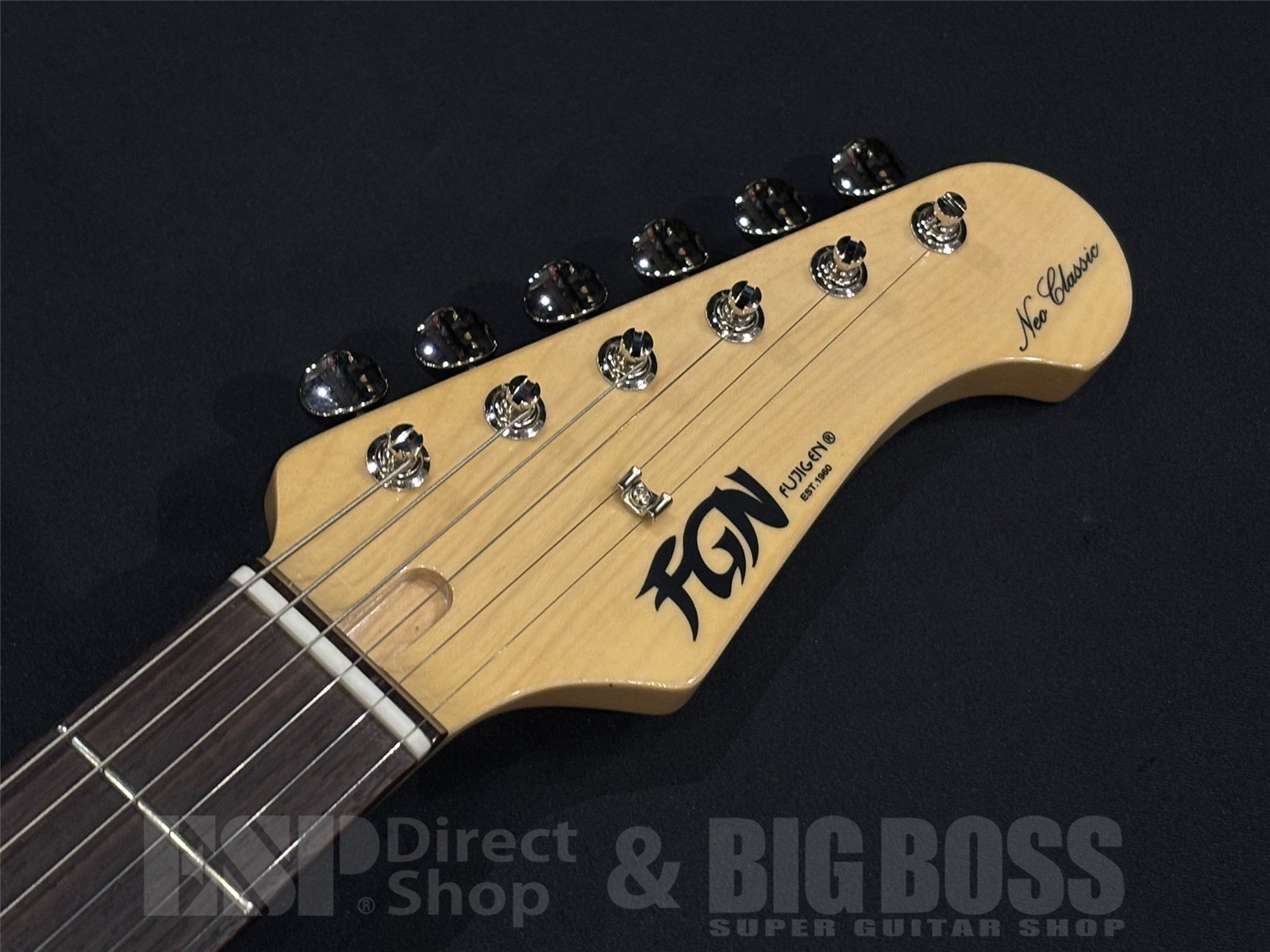 【即納可能】FUJIGEN (フジゲン) NTE100RAL / Candy Apple Green 京都店