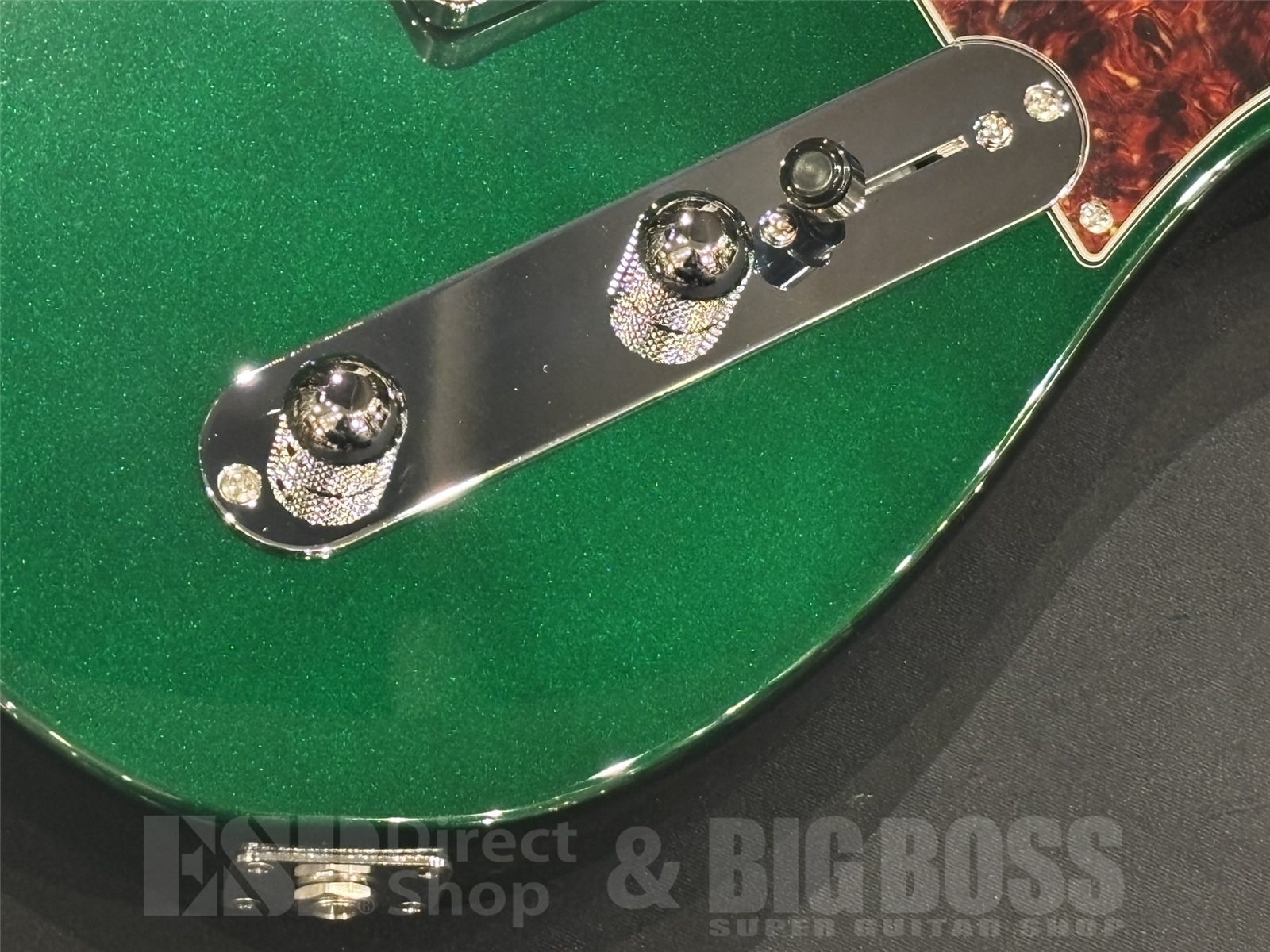 【即納可能】FUJIGEN (フジゲン) NTE100RAL / Candy Apple Green 京都店