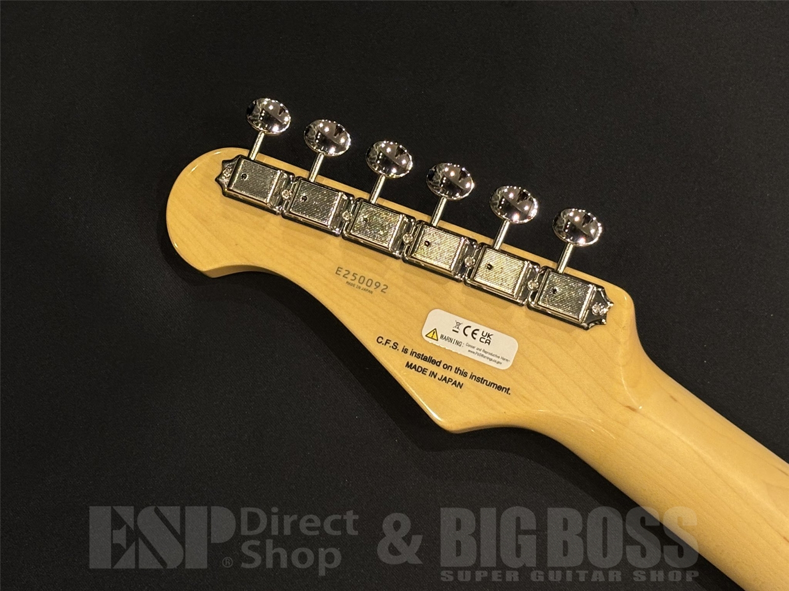 【即納可能】FUJIGEN (フジゲン) NTE100RAL / Candy Apple Green 京都店