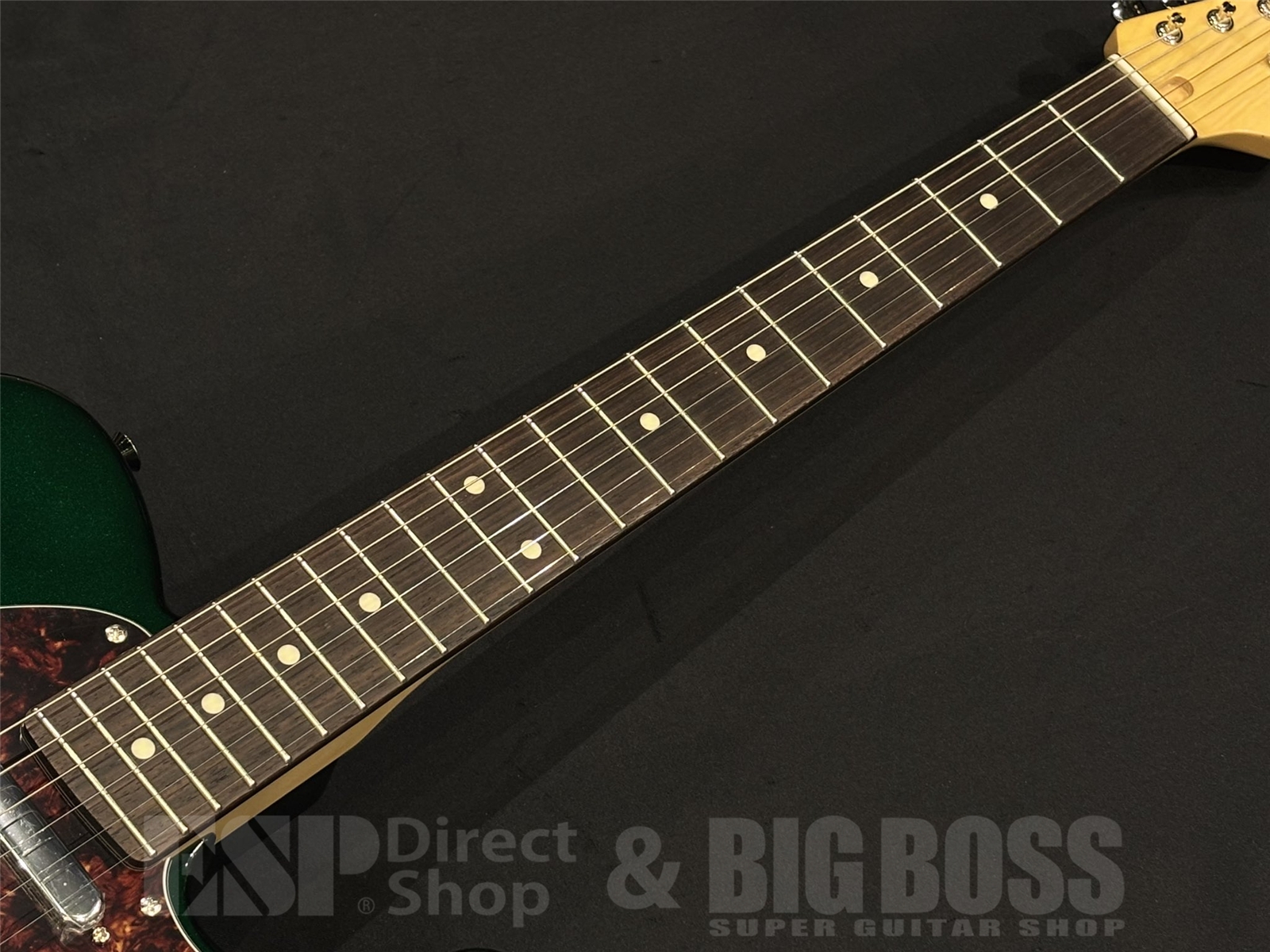 【即納可能】FUJIGEN (フジゲン) NTE100RAL / Candy Apple Green 京都店