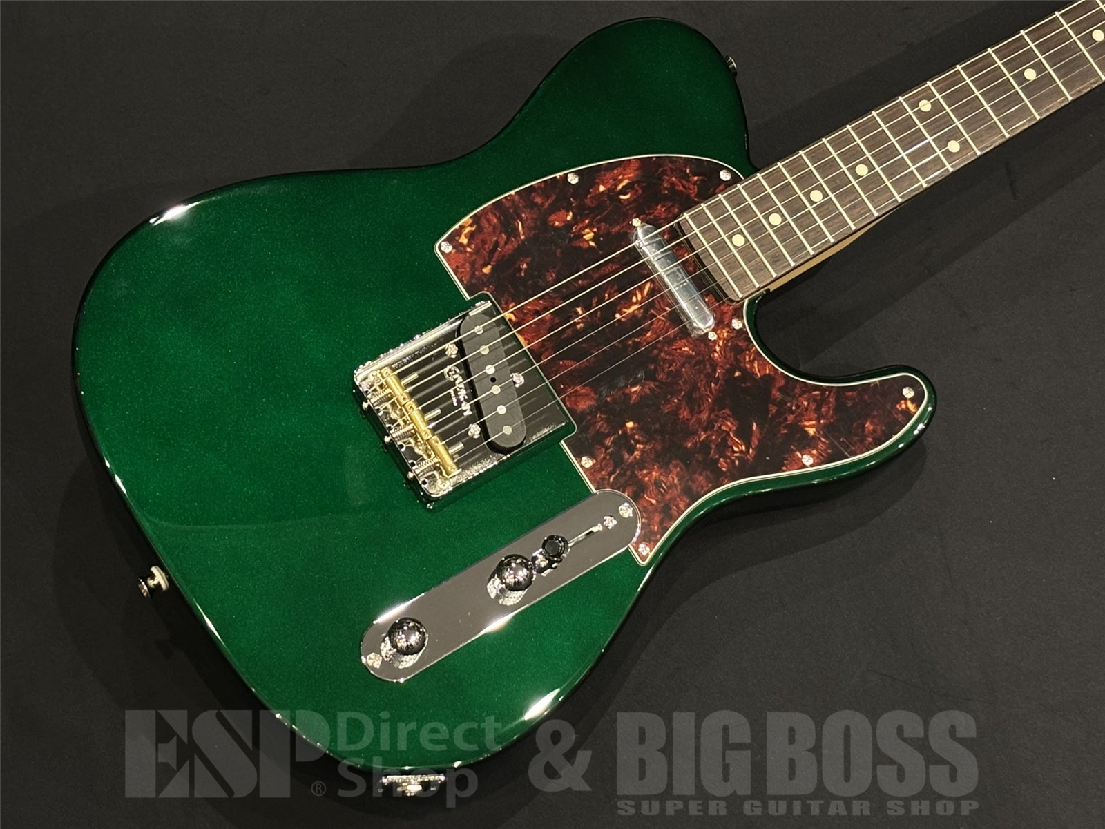 【即納可能】FUJIGEN (フジゲン) NTE100RAL / Candy Apple Green 京都店