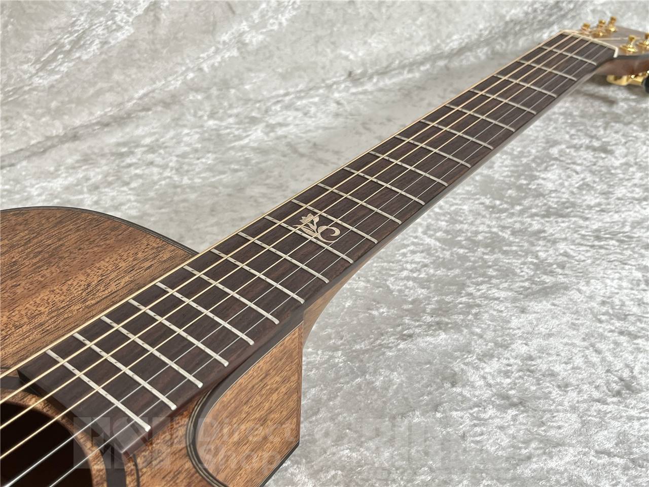 【即納可能】Morris(モーリス) SC-16U  S SERIES 打田十紀夫氏シグネチャーモデル  (アコースティックギター)お茶の水駅前店・別館