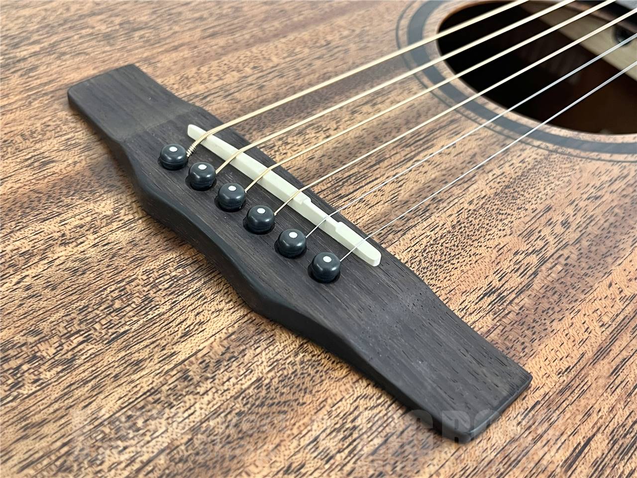 【即納可能】Morris(モーリス) SC-16U  S SERIES 打田十紀夫氏シグネチャーモデル  (アコースティックギター)お茶の水駅前店・別館