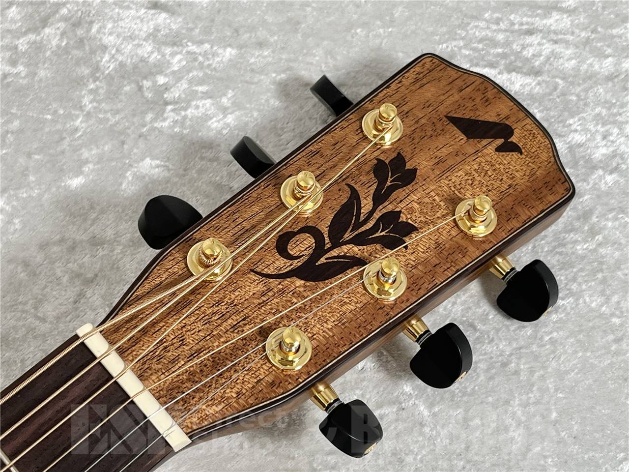 【即納可能】Morris(モーリス) SC-16U  S SERIES 打田十紀夫氏シグネチャーモデル  (アコースティックギター)お茶の水駅前店・別館