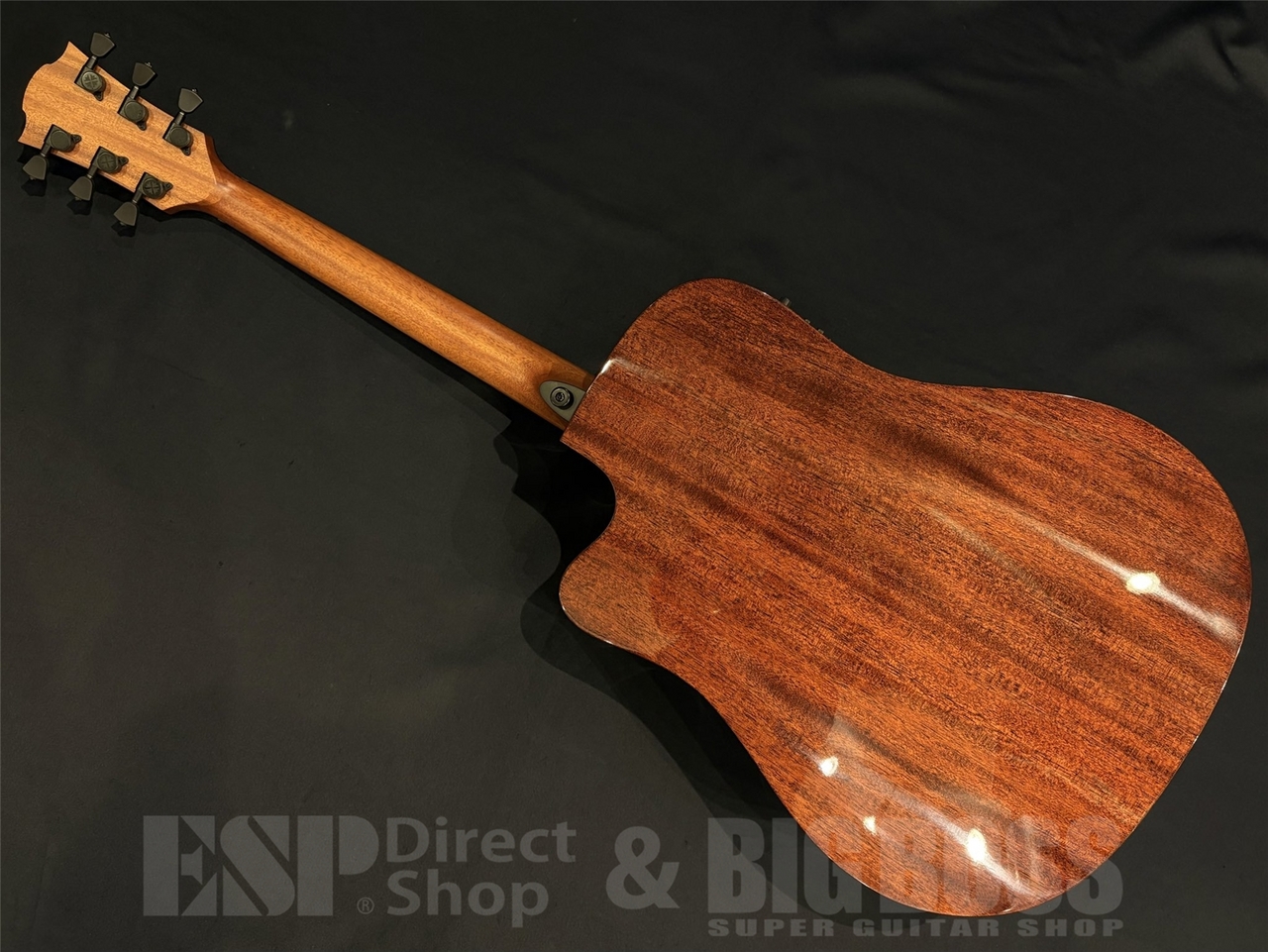 【即納可能】LAG Guitars (ラグギターズ) T118DCE-BRS 京都店