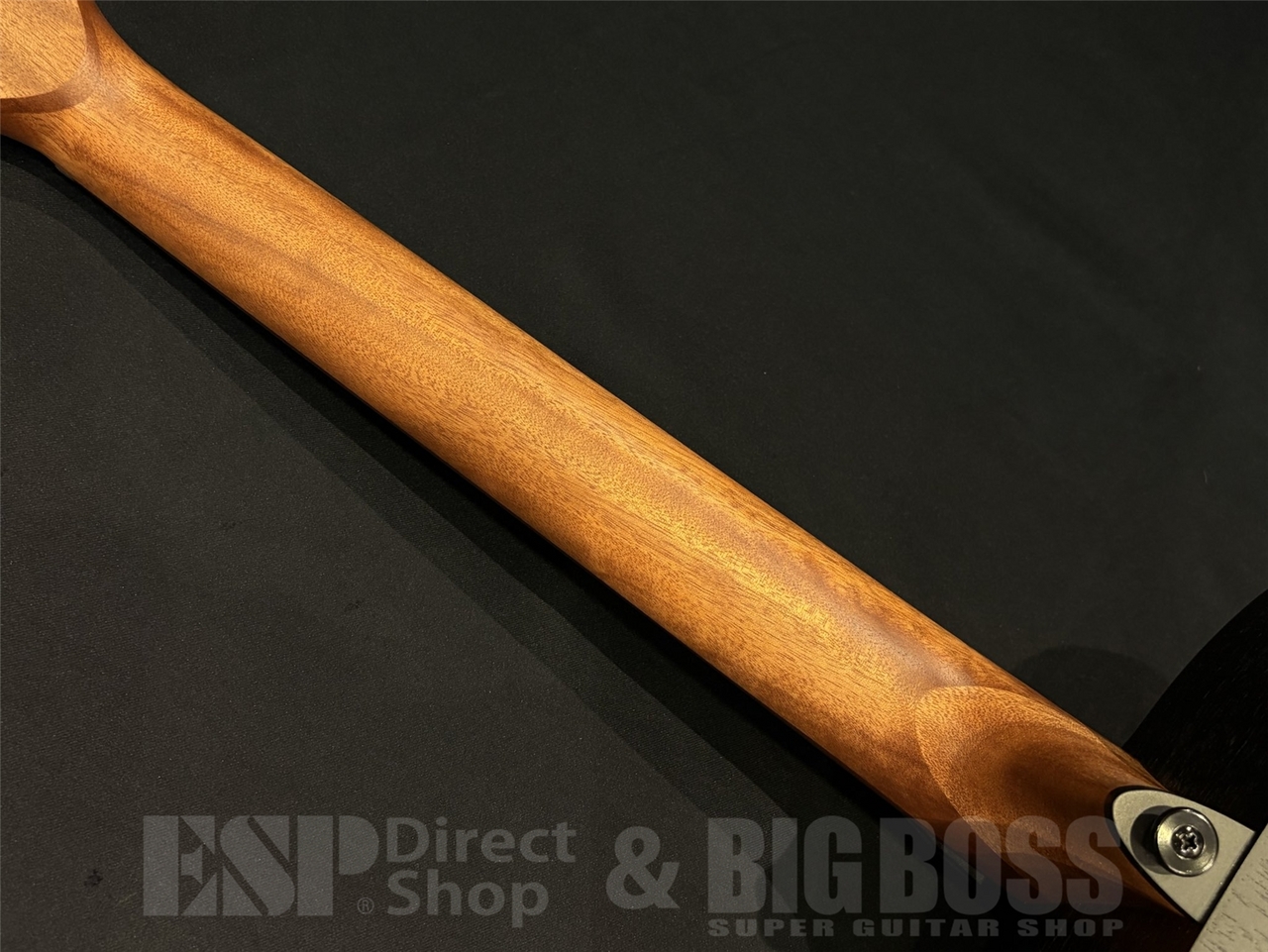 【即納可能】LAG Guitars (ラグギターズ ) T70A / BLACK & BROWN 京都店