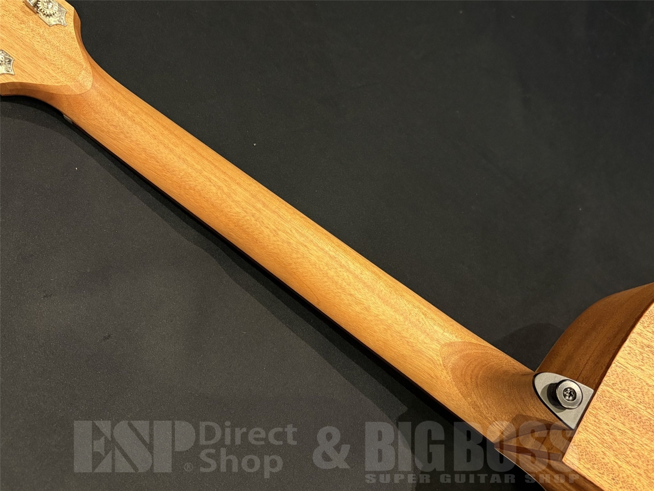 【即納可能】LAG Guitars (ラグギターズ) T70ACE / Natural 京都店