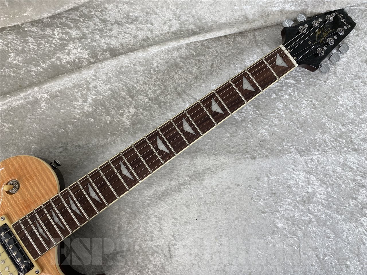 【即納可能】Aria Pro II(アリアプロツー) PE-JAIL 2025 JAIL / Bloody Sunburst お茶の水駅前店(東京)