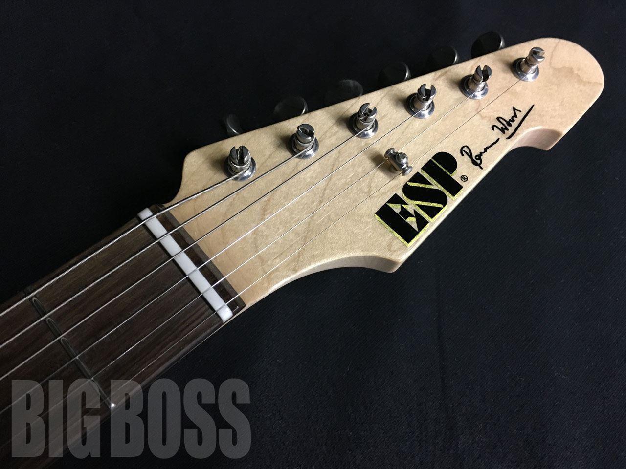 【受注生産】ESP(イーエスピー) RON WOOD SIGNATURE / 3 Tone Sunburst (Ron Woodモデル)