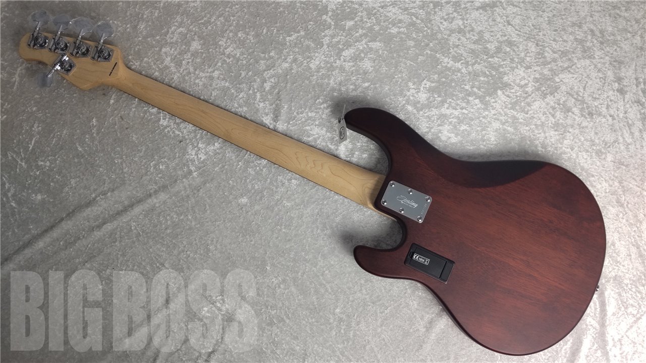 【即納可能】Sterling by MUSIC MAN(スターリンバイミュージックマン) S.U.B RAY5 Walnut Satin お茶の水駅前店(東京)