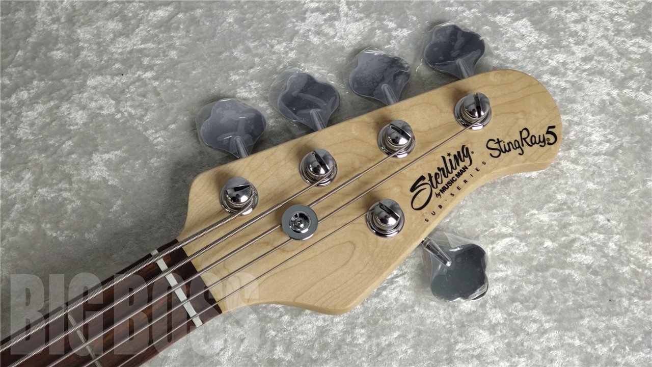 【即納可能】Sterling by MUSIC MAN(スターリンバイミュージックマン) S.U.B RAY5 Walnut Satin お茶の水駅前店(東京)