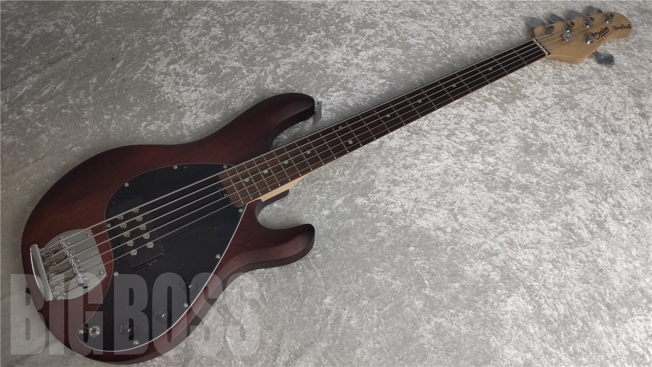 【即納可能】Sterling by MUSIC MAN(スターリンバイミュージックマン) S.U.B RAY5 Walnut Satin お茶の水駅前店(東京)