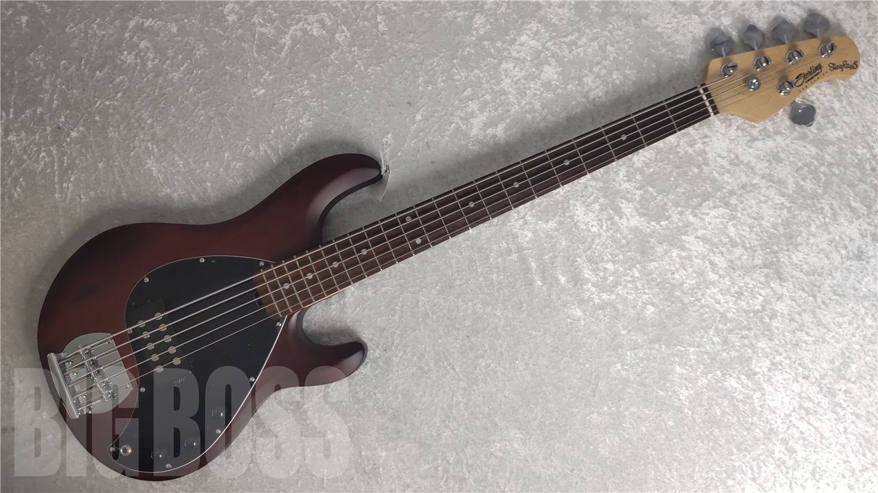 【即納可能】Sterling by MUSIC MAN(スターリンバイミュージックマン) S.U.B RAY5 Walnut Satin お茶の水駅前店(東京)