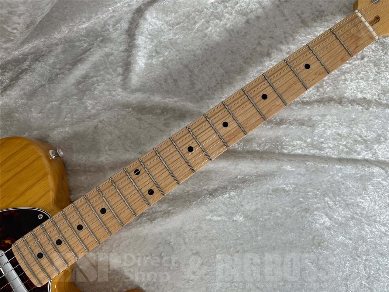 【即納可能/中古品】FUJIGEN(FGN/フジゲン) NTE100MAH (Vintage Natural) お茶の水駅前店(東京)