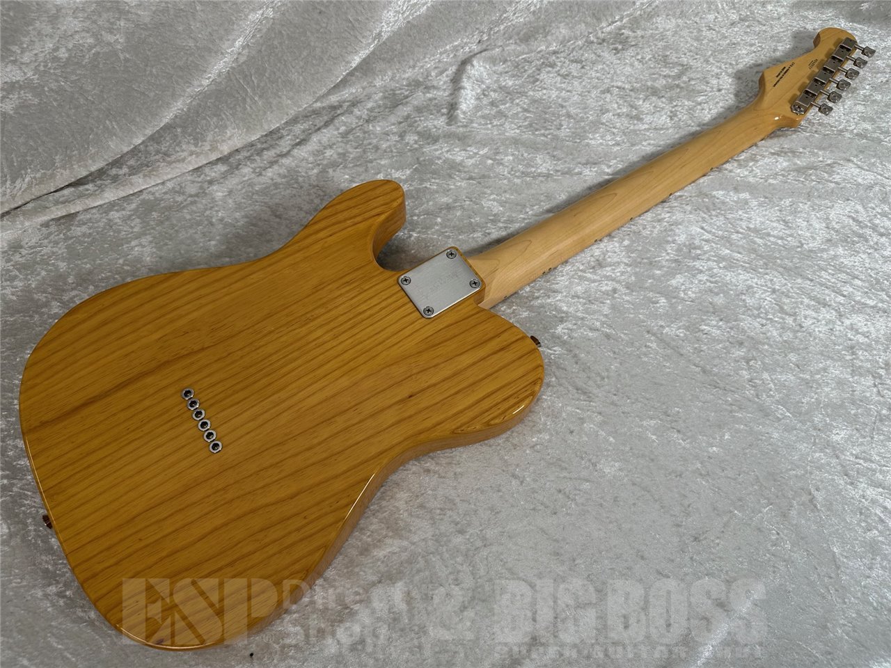 【即納可能/中古品】FUJIGEN(FGN/フジゲン) NTE100MAH (Vintage Natural) お茶の水駅前店(東京)