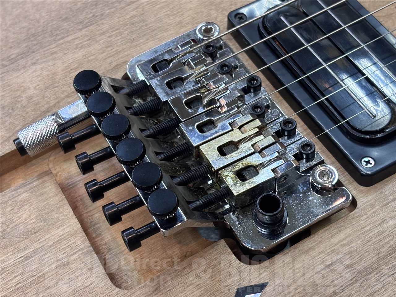 【即納可能】Washburn N4-NUNO AUTHENTIC 広島店