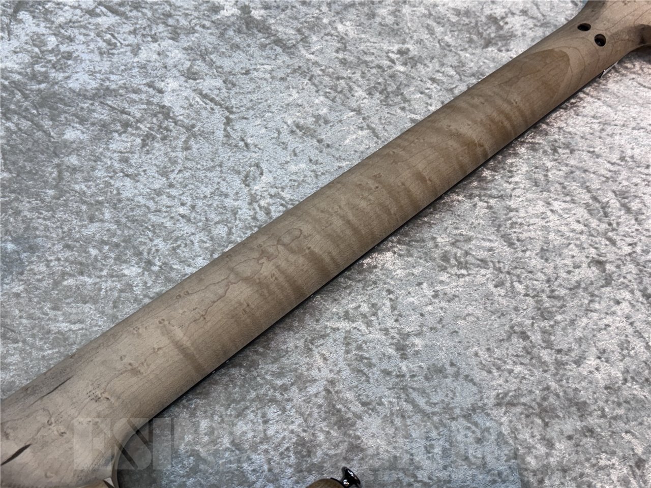 【即納可能】Washburn N4-NUNO AUTHENTIC 広島店