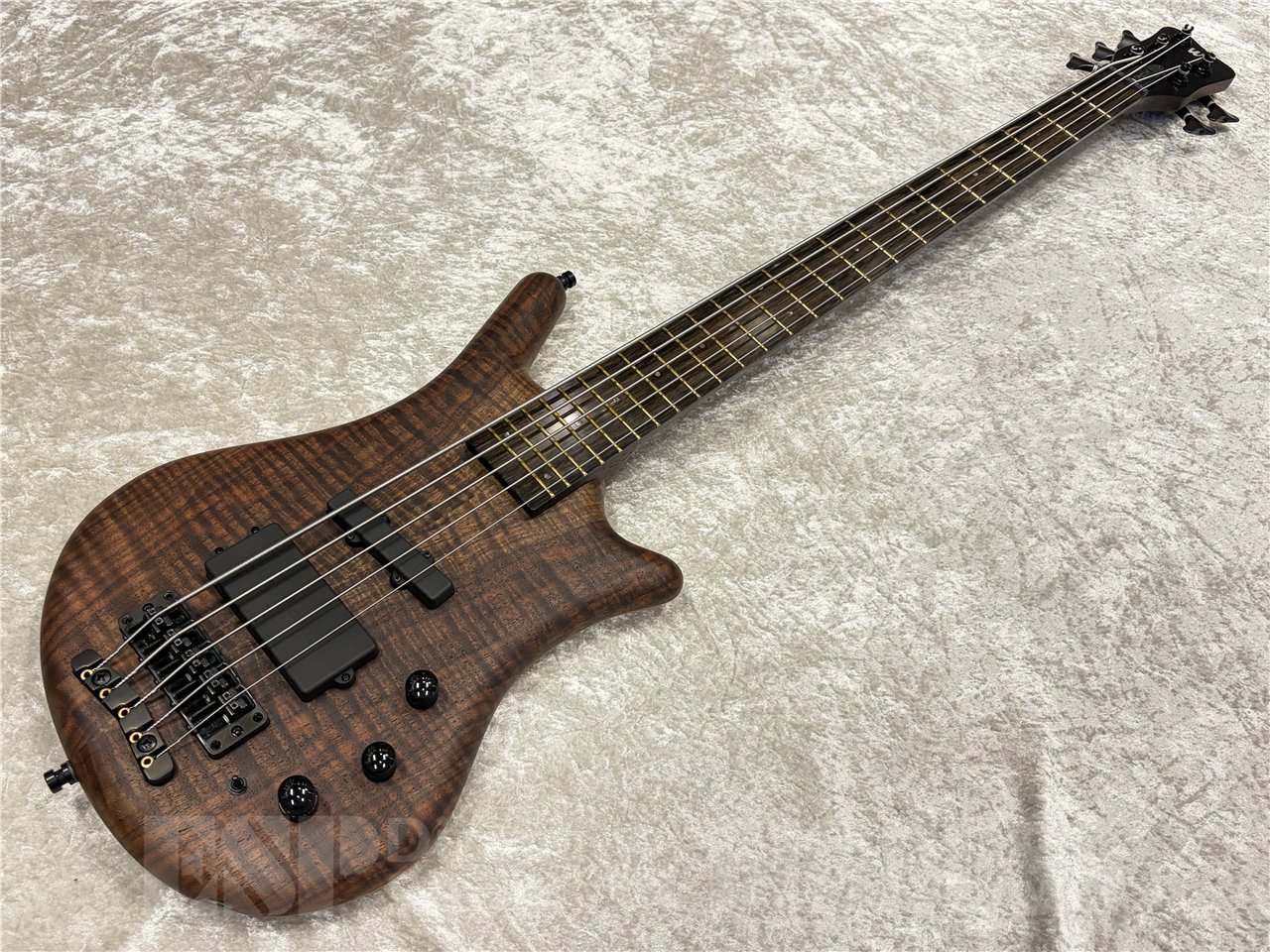 【即納可能】Warwick（ワーウィック）Pro Series Teambuilt Thumb BO Limited Edition 2024 5-strings（Natural Oil Finish）　名古屋店