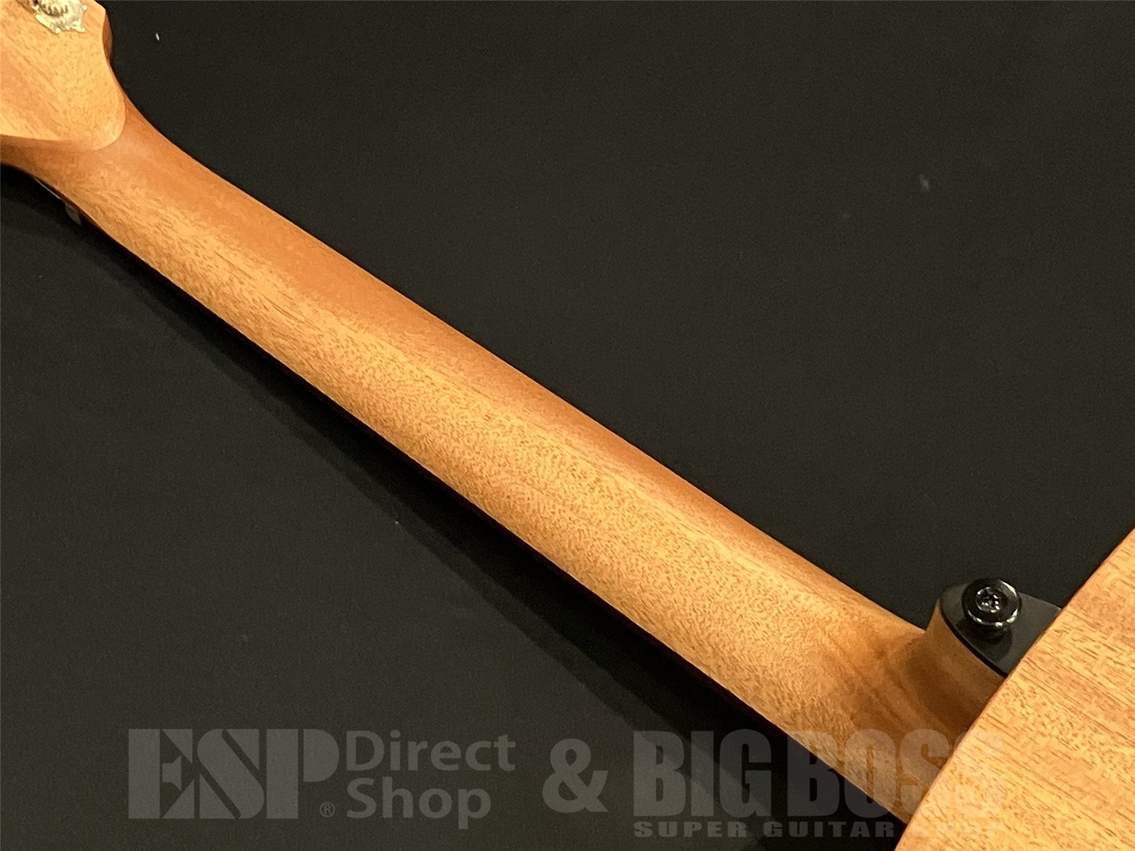 【即納可能】LAG Guitars (ラグギターズ) T70A / Natural 京都店