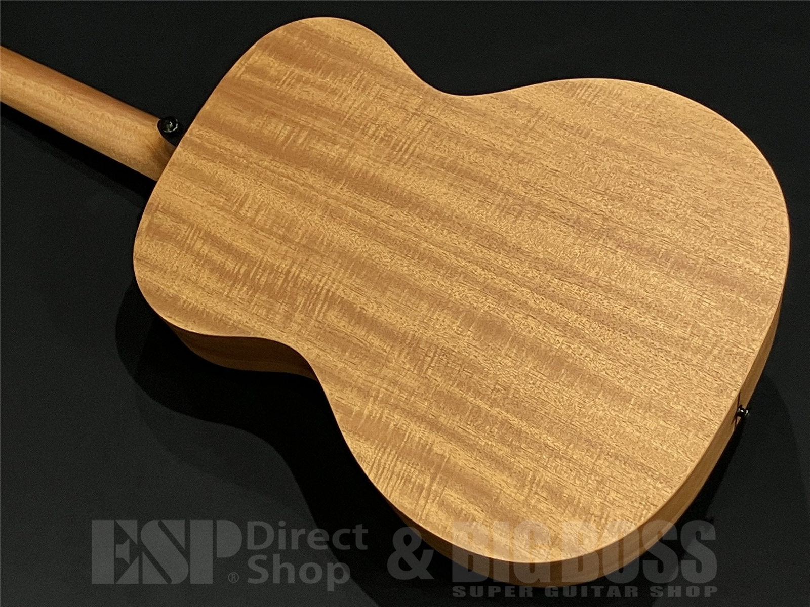 【即納可能】LAG Guitars (ラグギターズ) T70A / Natural 京都店