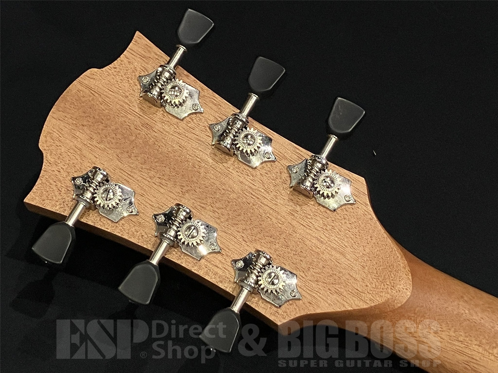 【即納可能】LAG Guitars (ラグギターズ) T70A / Natural 京都店