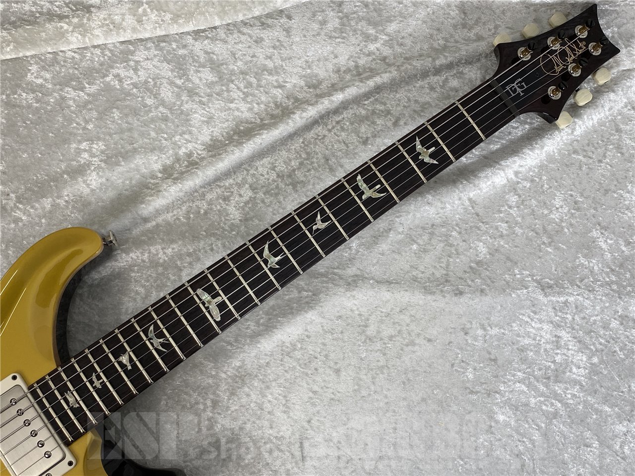 【即納可能】Paul Reed Smith(ポールリードスミス/PRS) DGT Birds / DGT Gold Top (2025年製 S/N 0403398)